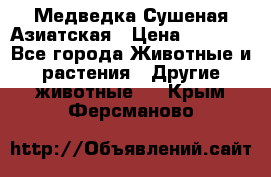 Медведка Сушеная Азиатская › Цена ­ 1 400 - Все города Животные и растения » Другие животные   . Крым,Ферсманово